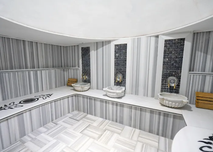 מלון The Park Taksim 4*